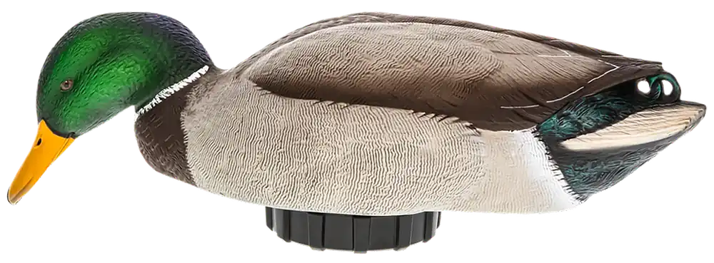 Avian X Power Shaker Mallard Drake Surface Feeder Decoy