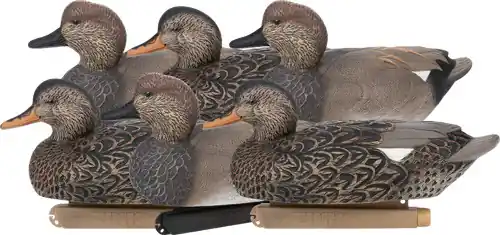 Gadwall Floater Decoys - 6 Pack Zink