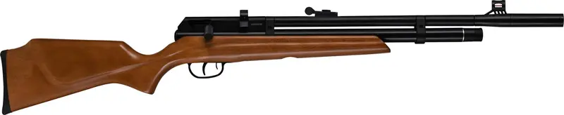 Beeman 1331 PCP Raider .22 Cal 10-Shot Pellet Air Rifle