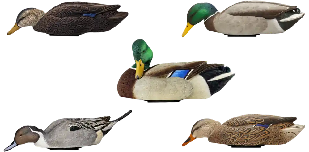 Avian X Power Swimmer Mallards - Multi-Color Model